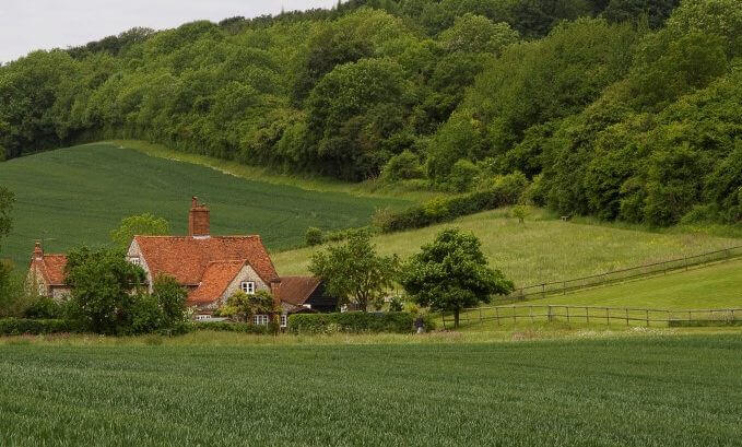 SD_walk_Fillingdon_Farm_red_kite_piddington