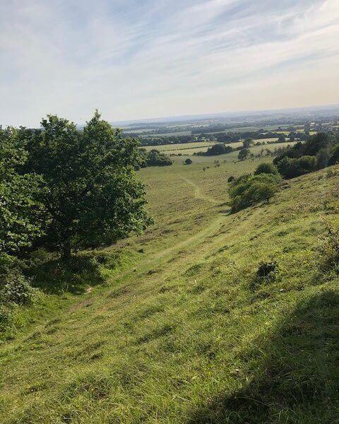 Watlington to Aston Rowant Nature Reserve circular: full route