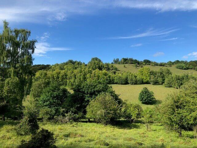Watlington Circular Chalk Pits and Ancient Routes