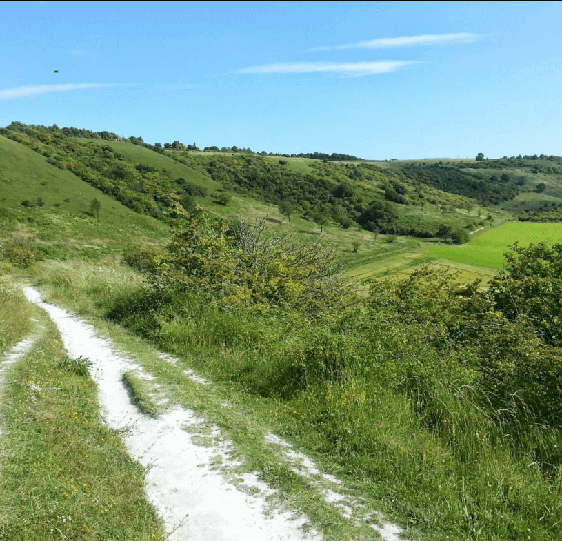 scrub encroachment and path erosion