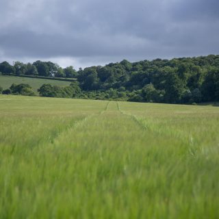 The future of planning - and what it might mean for the Chilterns