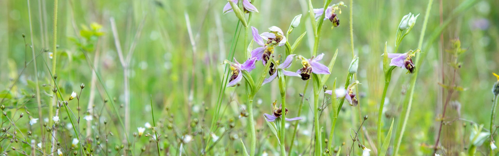 Combatting climate change