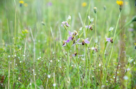 Combatting climate change