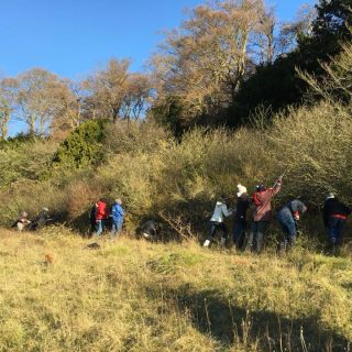 Chiltern Rangers Traineeship - apply now!