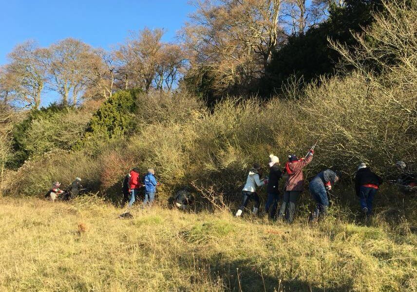 Chiltern Rangers Traineeship - apply now!