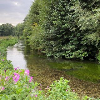 The Charming Chess Valley