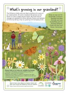 chalk grassland sign