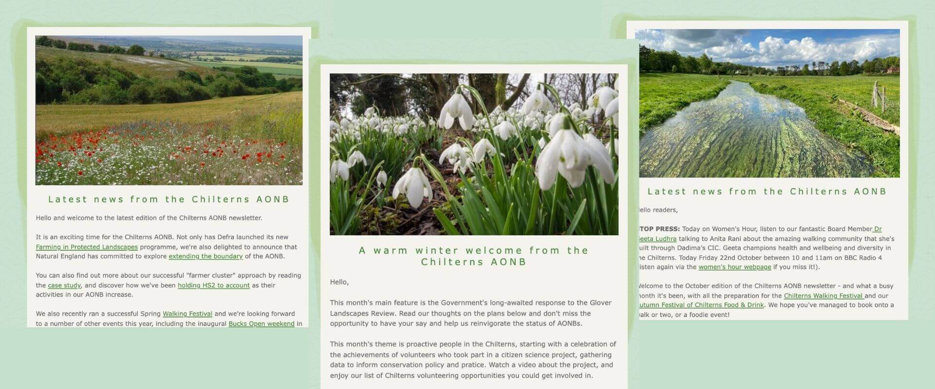 newsletter cover 1920x800