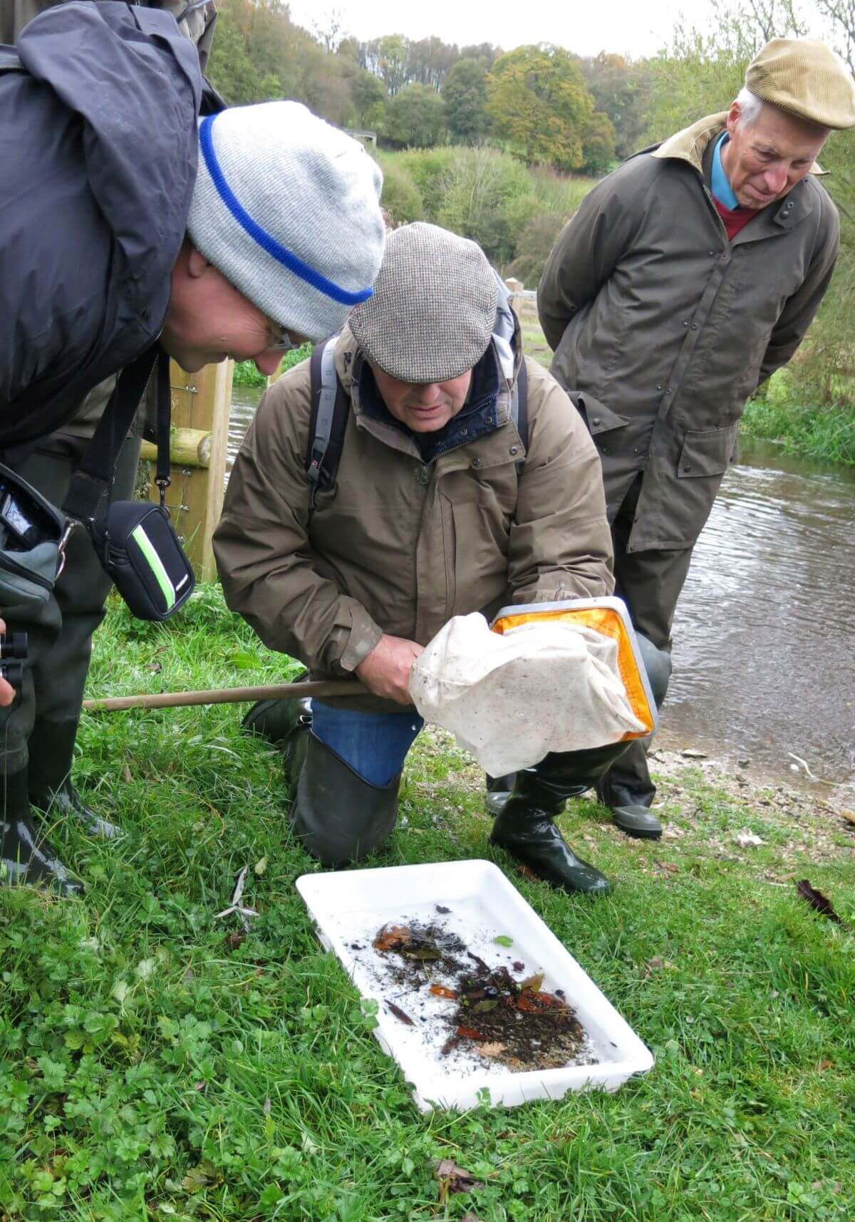 Chess kick sample (credit Rose Somerset) 1200