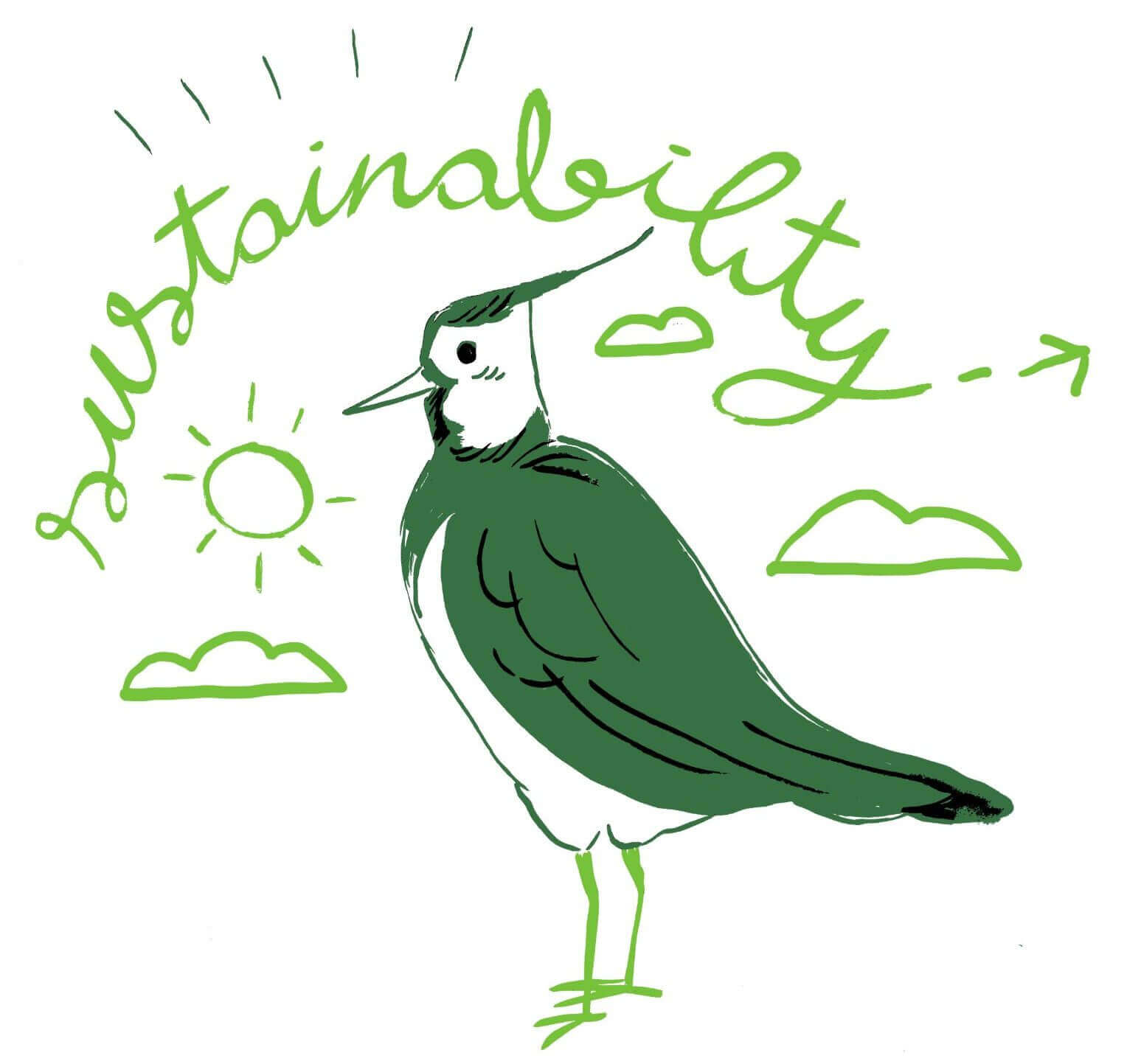 Colchester_Declaration_-_sustainability