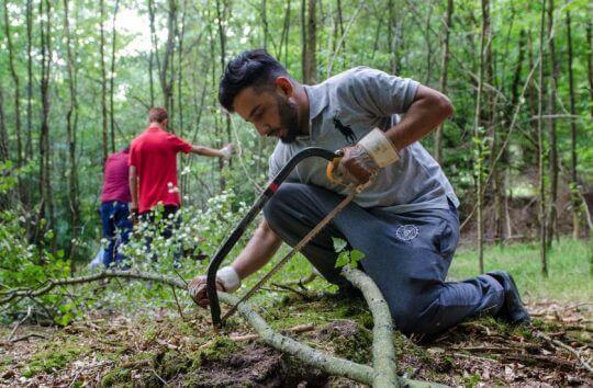 Getting everyone involved