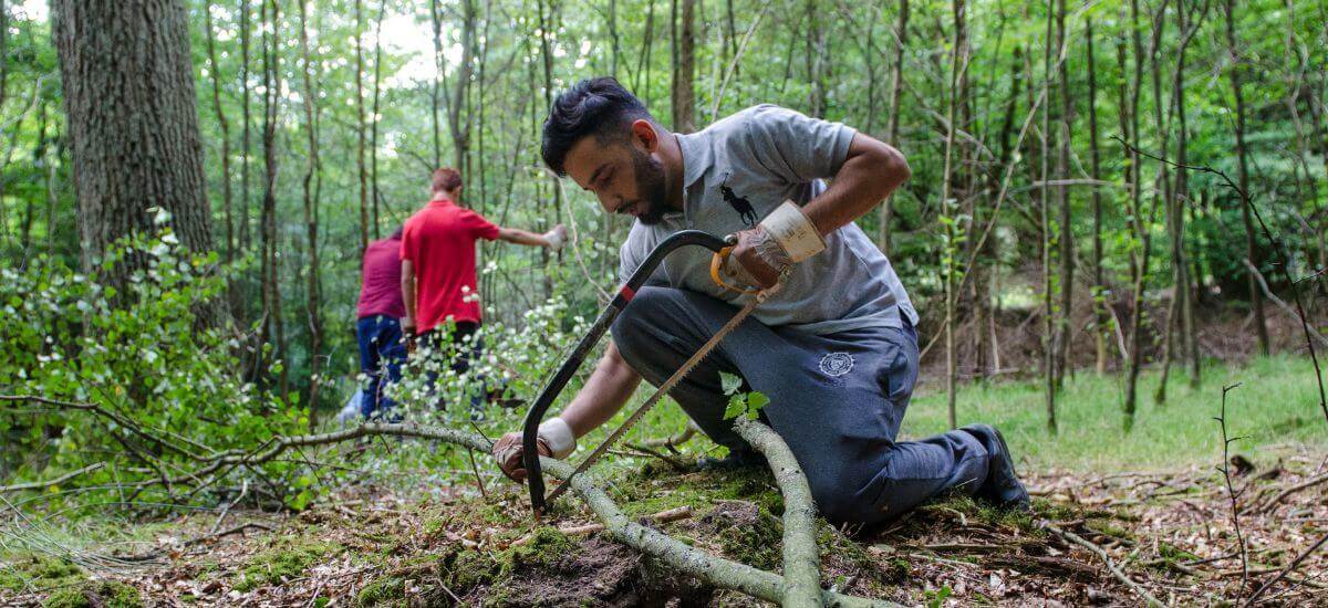 Getting everyone involved