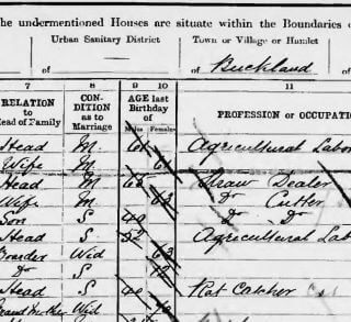 The Straw Dealers of Buckland