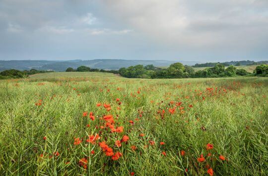 Managing our landscapes