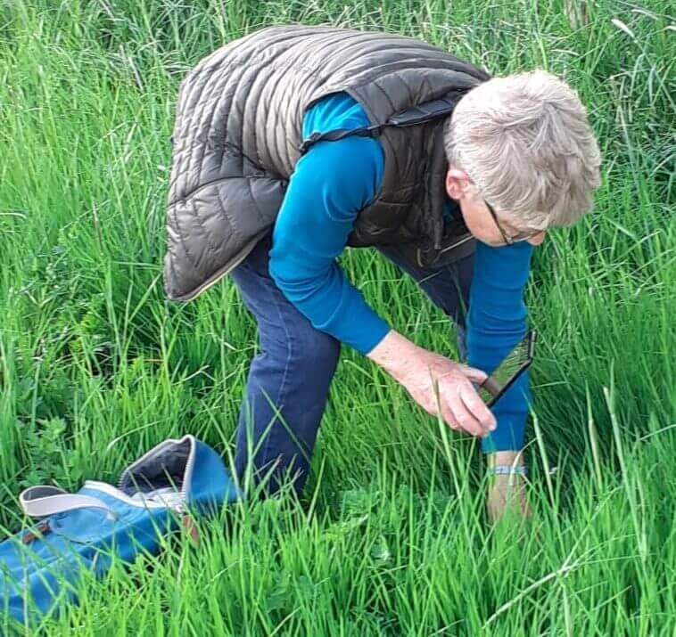 Hazel Boundy Tracking the Impact 2