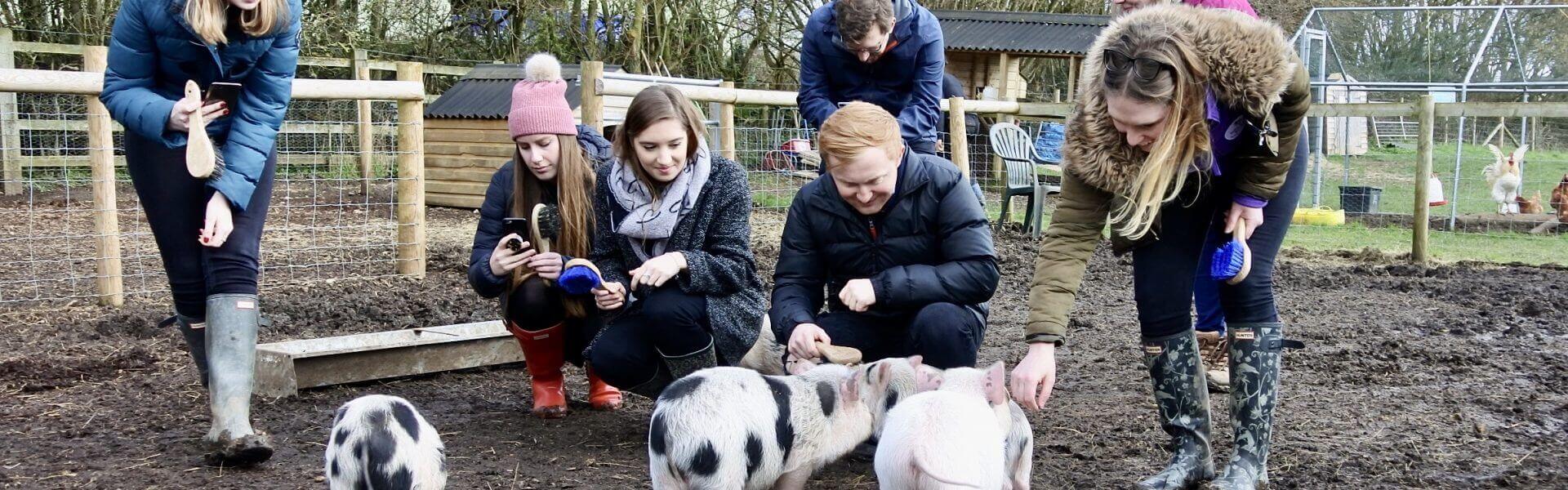 Chilterns Tourism Network