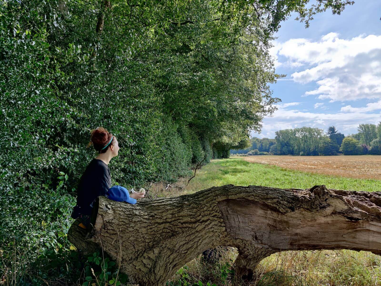 Tom Horsfield lovely view