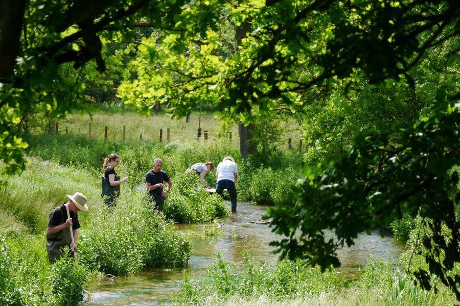New volunteering opportunities on the River Chess - citizen science and practical conservation!