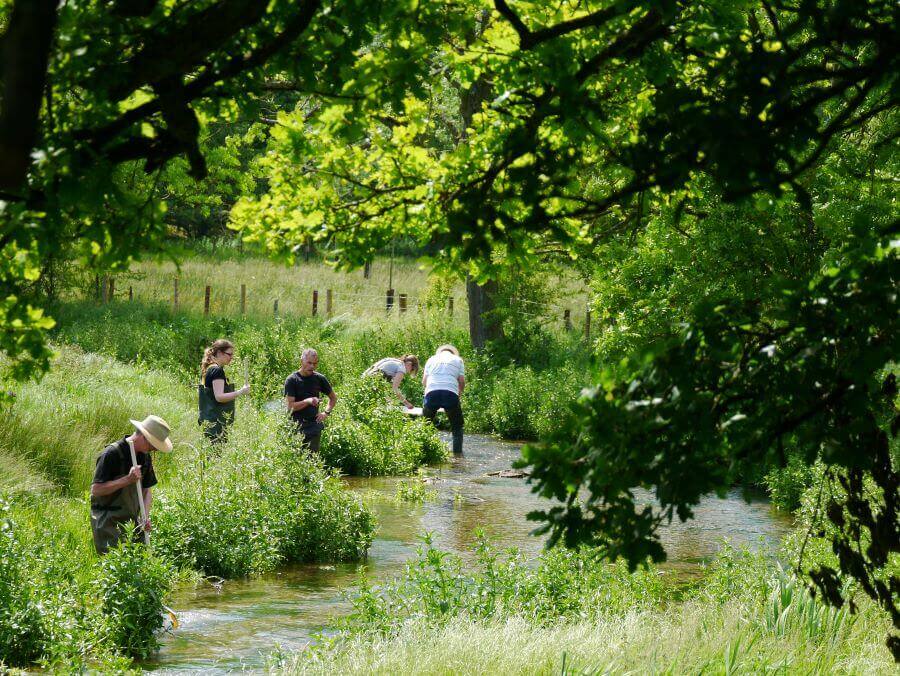 Training River Fly 900