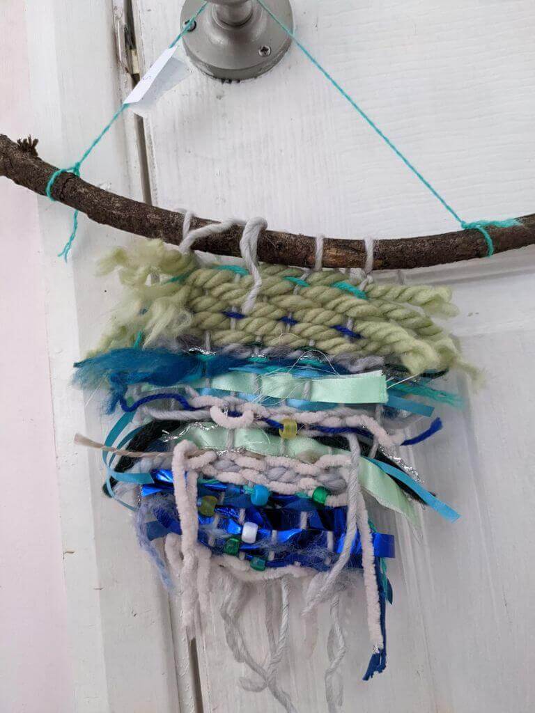 Trout in the classroom 2