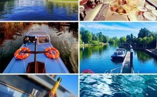 magpies-and-butterflies