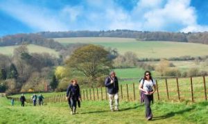 River Chess highlights - valley, views & villages (2401)