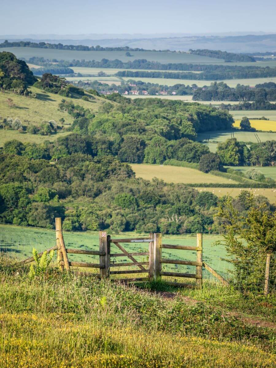 Aston Rowant Nature Reserve-3 1200