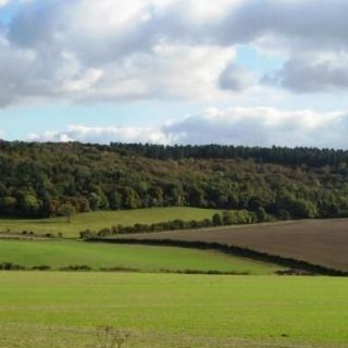 HS2 – Notice to Proceed and Full Business Case for Phase One