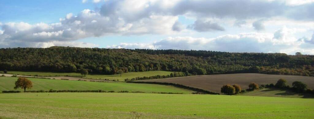 Chilterns Conservation Board deeply saddened as the Government gives the green light to High Speed 2