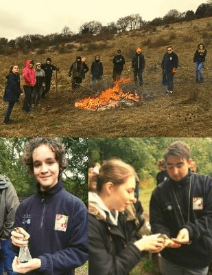 Montage of new shoots activities