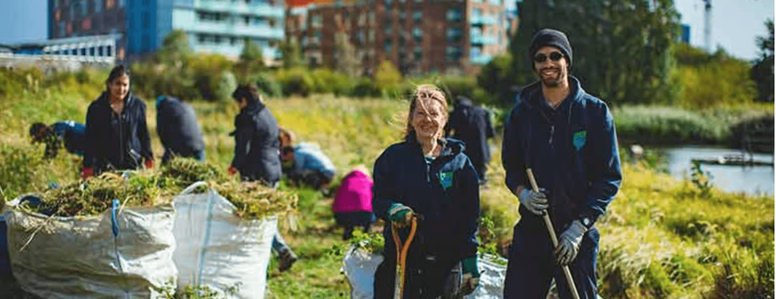The Conservation Volunteers