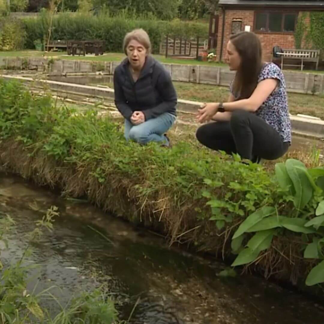 youtube meridian kate heppell 2