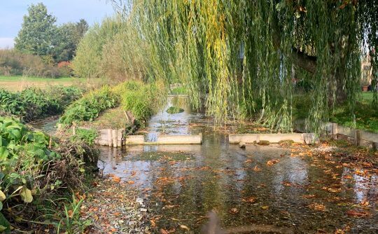 Ewelme Watercress beds | Chiltern Society