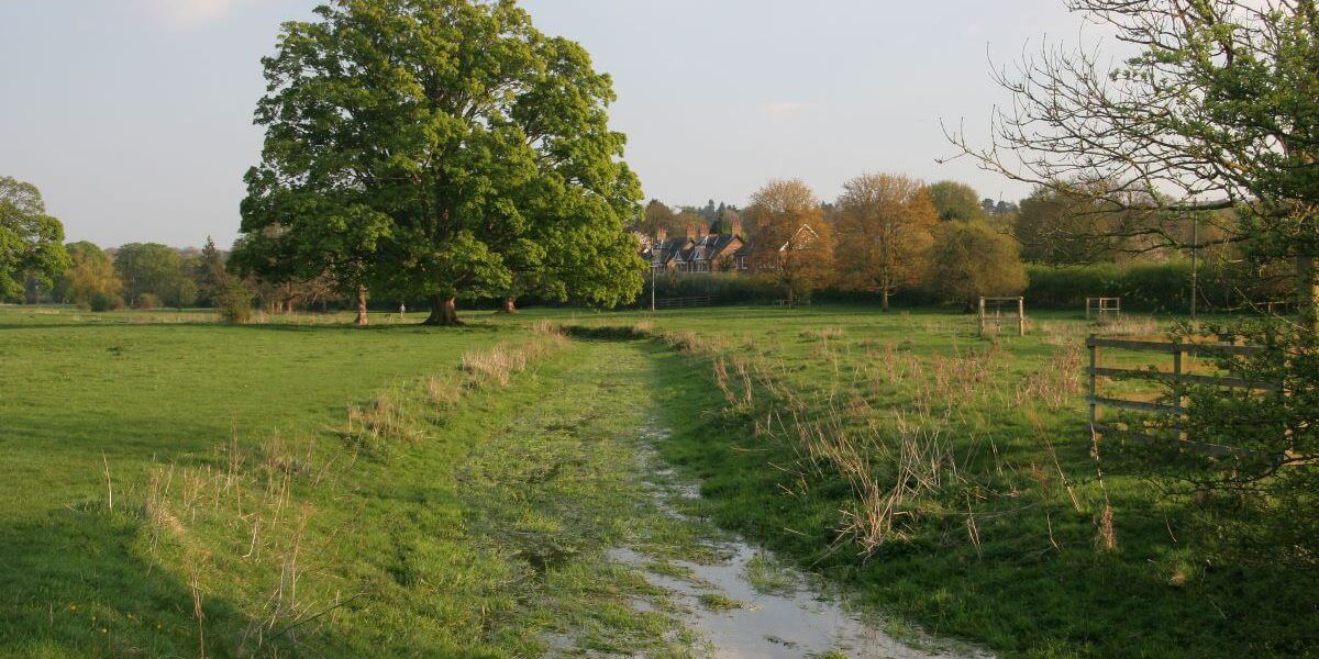 Buckinghamshire Council publishes hard-hitting report on pollution of the County’s rivers and chalk streams