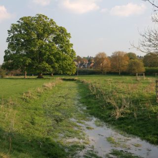 Buckinghamshire Council publishes hard-hitting report on pollution of the County’s rivers and chalk streams