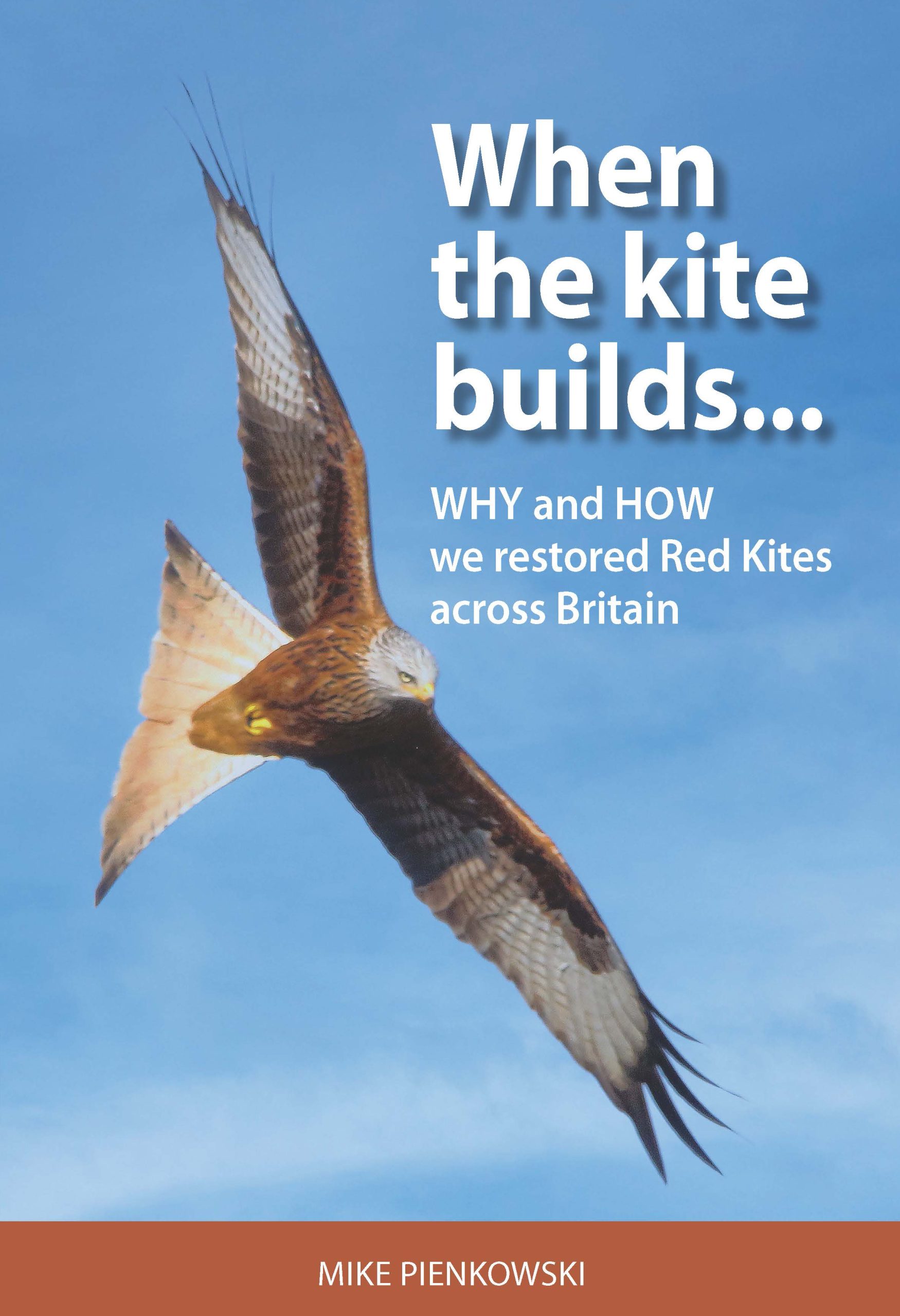 An image of the front cover of the book "When the kite builds" by Mike Pienkowski