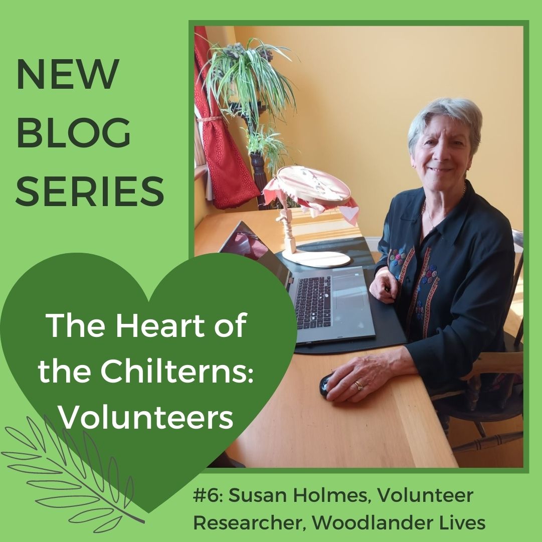 Susan Holmes blog series