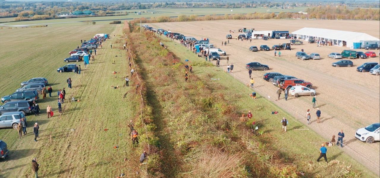 New film: National Hedgelaying Championships comes to the Chilterns