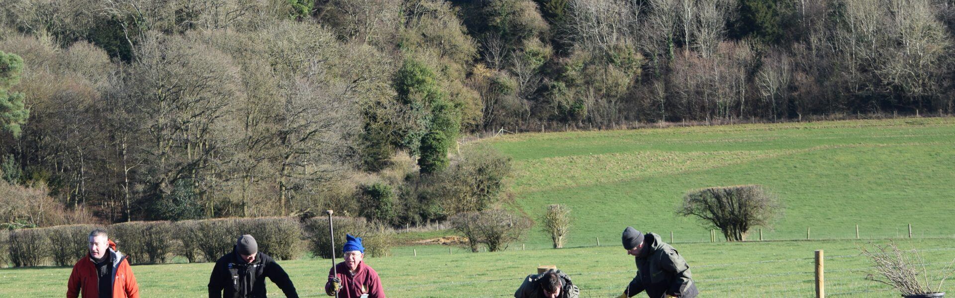 National Trust, WWF and RSPB send urgent SOS for nature as Sir David Attenborough says ‘we must act now’ to Save Our Wild Isles