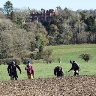 National Trust, WWF and RSPB send urgent SOS for nature as Sir David Attenborough says ‘we must act now’ to Save Our Wild Isles