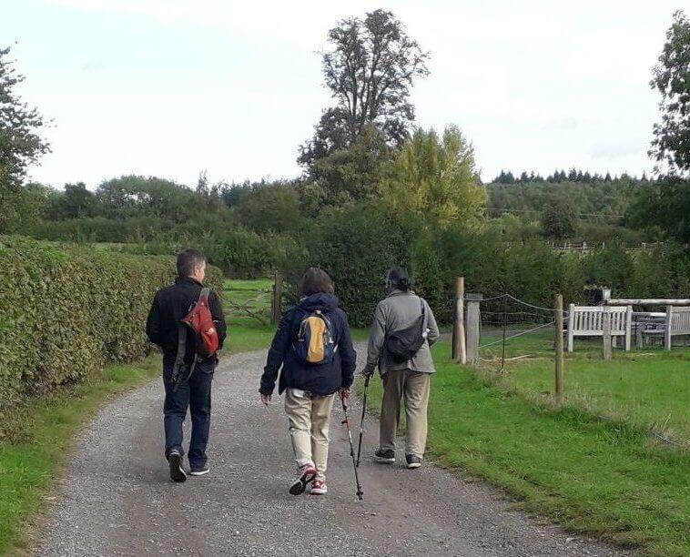 COAM accompanied walks3