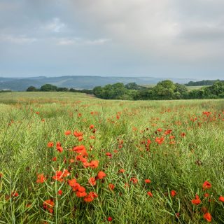 Introducing our new Mend the Gap Programme Manager, Ruth Staples-Rolfe