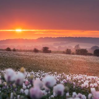 Introducing the new Chair of the Chilterns Conservation Board, Colin Courtney