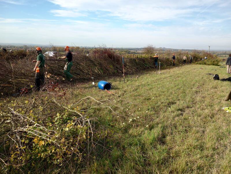 FIPL The National Hedgelaying Championships at Crowmarsh Battle Farms_2of2