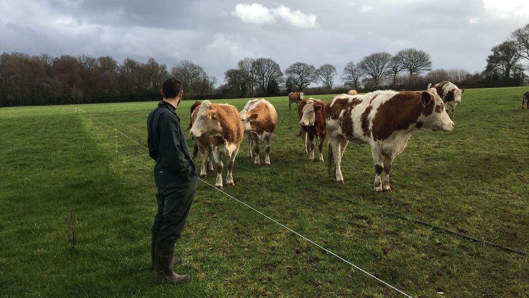 New report celebrates Farming in Protected Landscapes