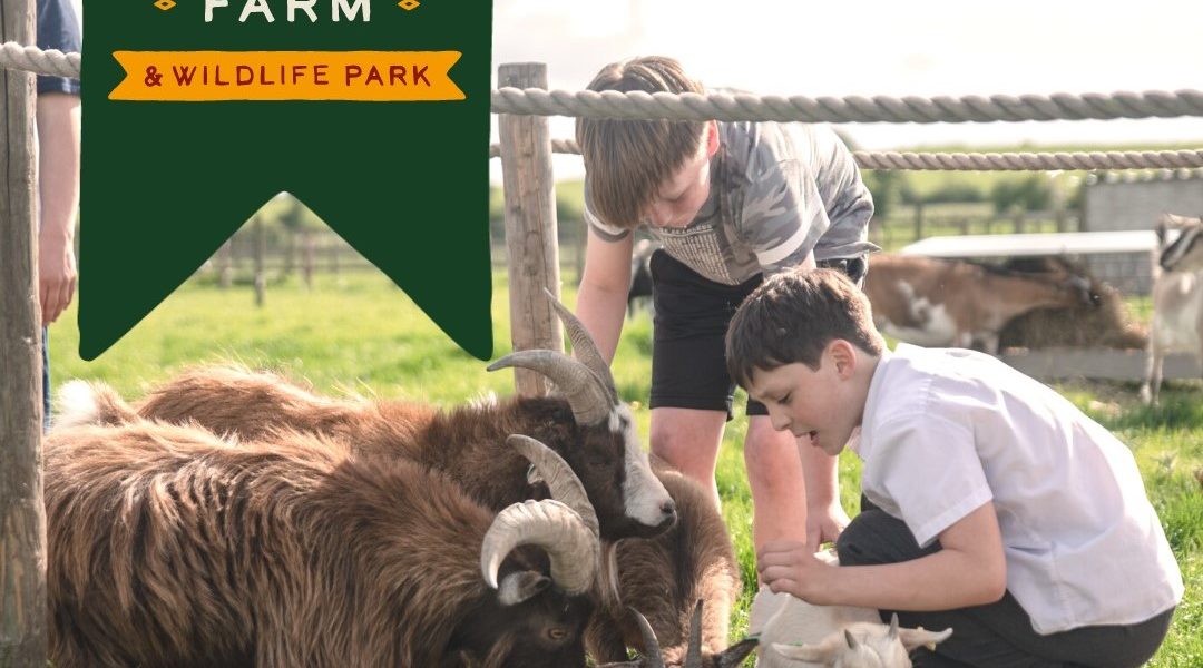 Hogshaw Farm & Wildlife Park
