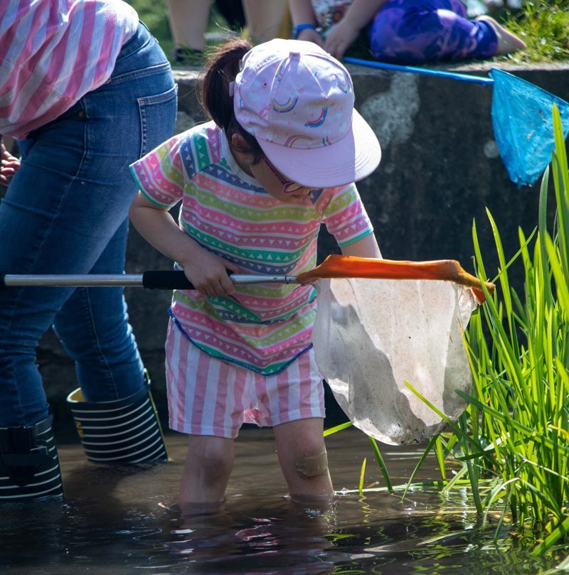 Photograph of a child wading in the River Chess with a net