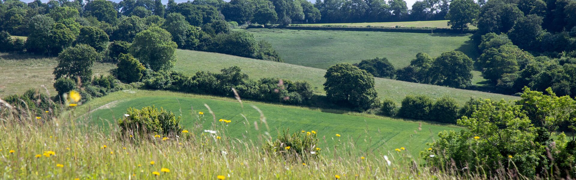 Farming in Protected Landscapes