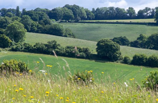 Farming in Protected Landscapes
