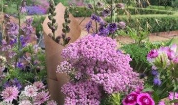 Chiltern Sky Flowers